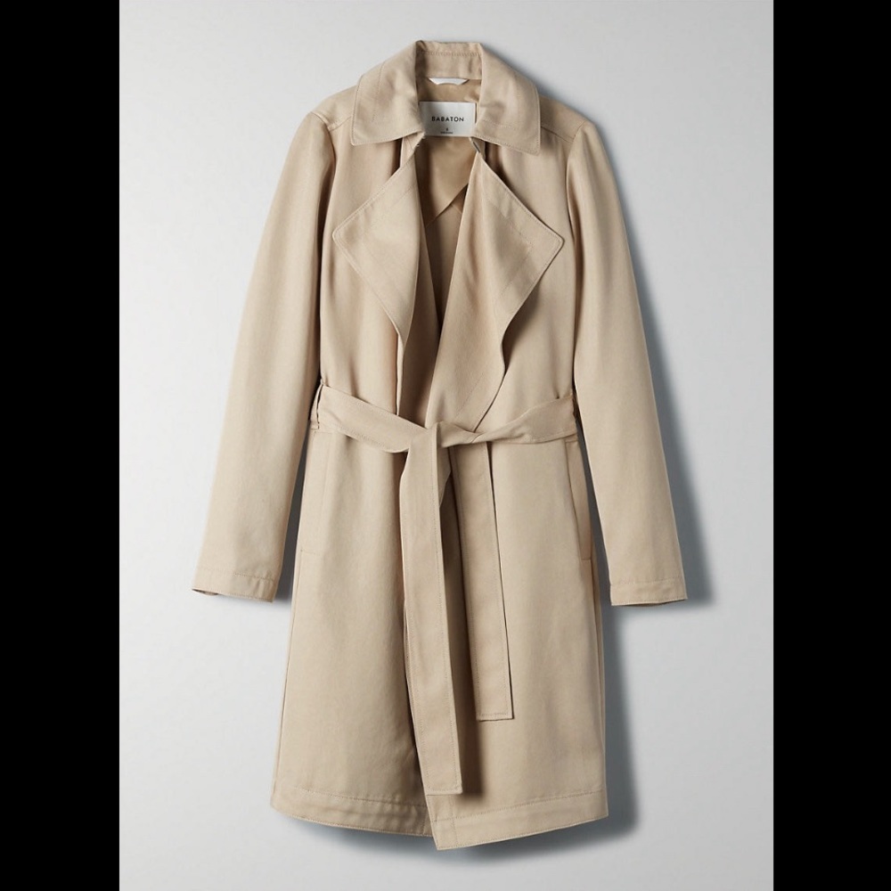 Aritzia Babaton Maximo Trench Coat M